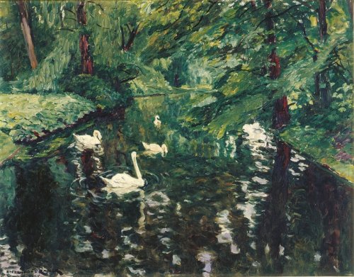 Hasengraben mit Schwänen
